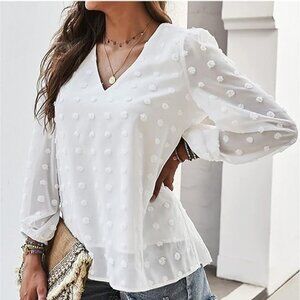 Long Bubble Sleeve V Neck Swiss Dot Chiffon Top